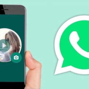 provid whatsapp profile video