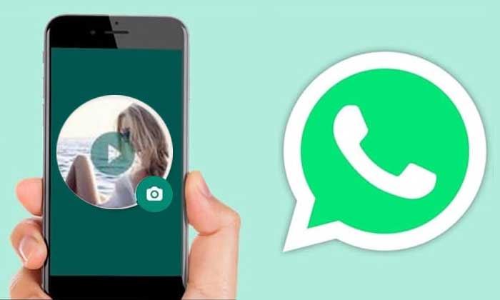 provid whatsapp profile video